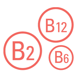 Vitamini B2, B6 i B12